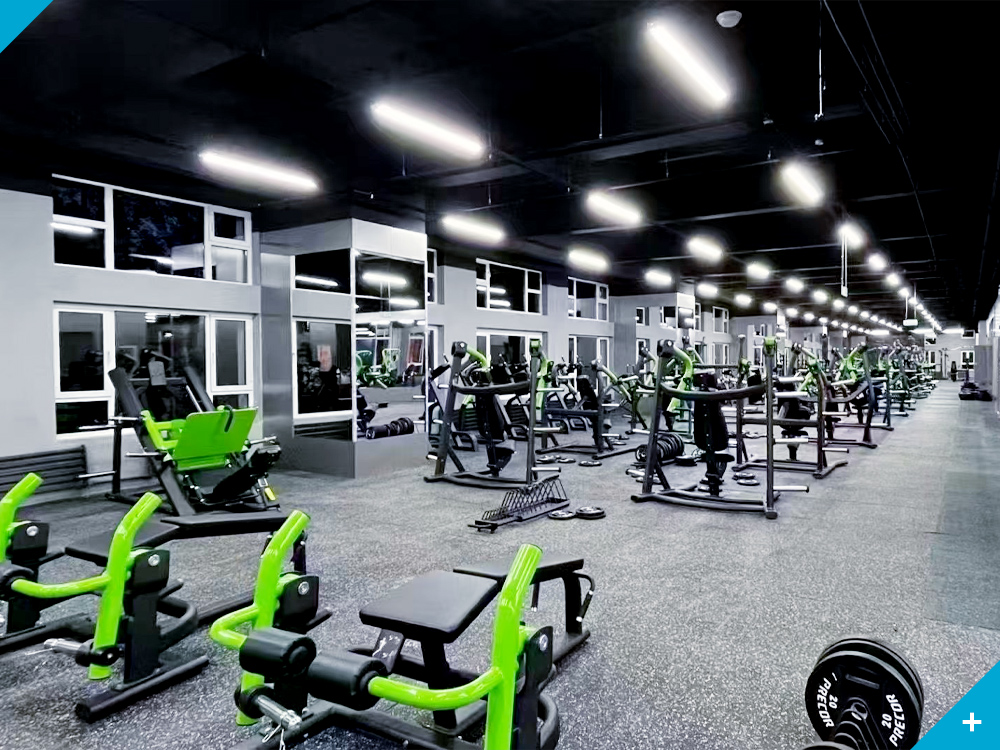 Cardio-Trainingsger&auml;te