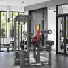 MND-FM85 Taillen- und Bauchtrainer | Rotations-Torso-Maschine | Oblique- und Core-Entwickler