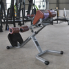Roman Chair R&uuml;ckenverl&auml;ngerungsmaschine f&uuml;r das Training der hinteren Kette AN31