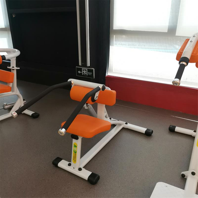 H09 Bauch- und R&uuml;ckenstreckger&auml;t | Kernst&auml;rkungsmittel | Trainer f&uuml;r den unteren R&uuml;cken