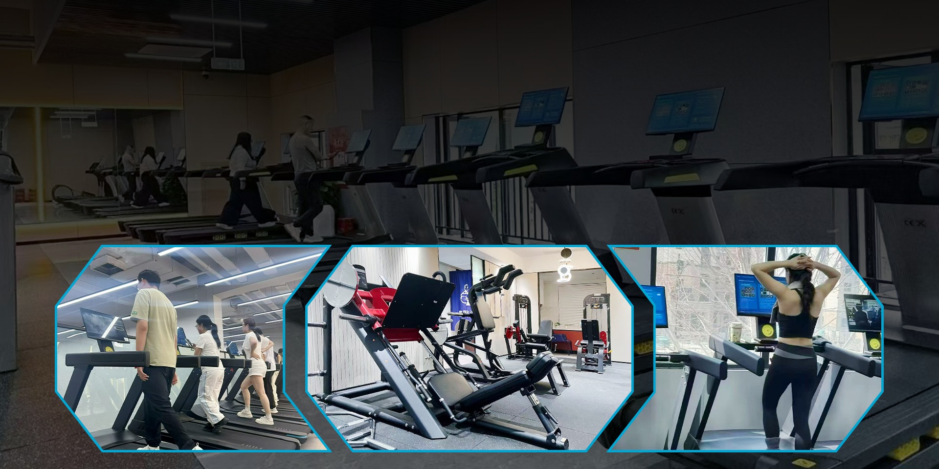  full-series commercial fitness equipment