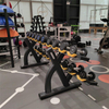 FF49 Doppelst&ouml;ckiger Hantelst&auml;nder | Kommerzielle Hantelaufbewahrung | Organisation von Fitnessger&auml;ten
