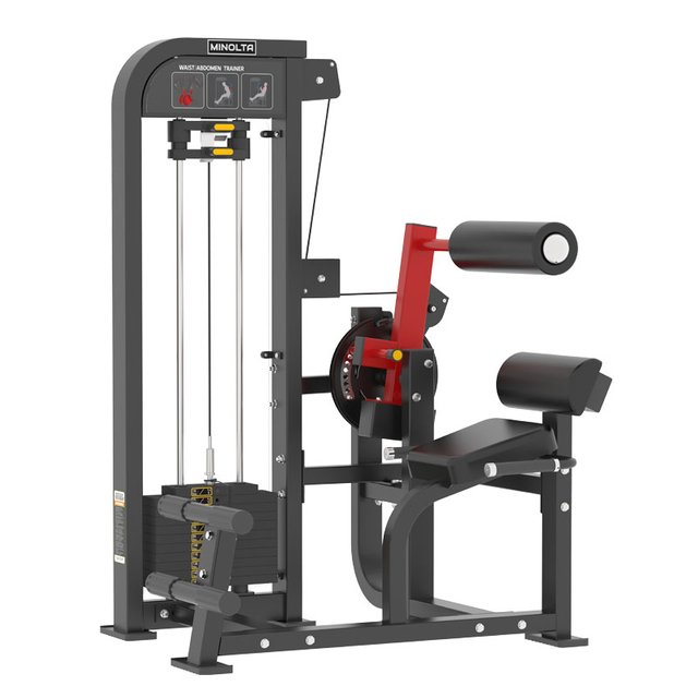 MND-FM85 Taillen- und Bauchtrainer | Rotations-Torso-Maschine | Oblique- und Core-Entwickler