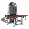  Beinbeugung in Bauchlage | Kniesehnenisolator | Beintrainingsger&auml;t AN37