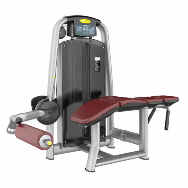  Beinbeugung in Bauchlage | Kniesehnenisolator | Beintrainingsger&auml;t AN37