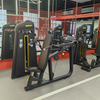 F20 Schulterpresse | Overhead-Pressstation | Deltamuskel-Builder