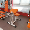 H04 Bizeps- und Trizeps-Armmaschine | Professioneller Armisolator | Curl- und Extension-Trainer f&uuml;r das Fitnessstudio