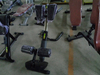 Roman Chair R&uuml;ckenverl&auml;ngerungsmaschine f&uuml;r das Training der hinteren Kette AN31