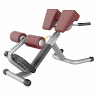 Roman Chair R&uuml;ckenverl&auml;ngerungsmaschine f&uuml;r das Training der hinteren Kette AN31