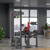 MND-FM85 Taillen- und Bauchtrainer | Rotations-Torso-Maschine | Oblique- und Core-Entwickler