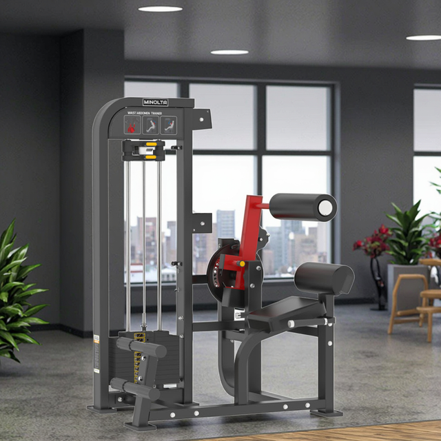 MND-FM85 Taillen- und Bauchtrainer | Rotations-Torso-Maschine | Oblique- und Core-Entwickler