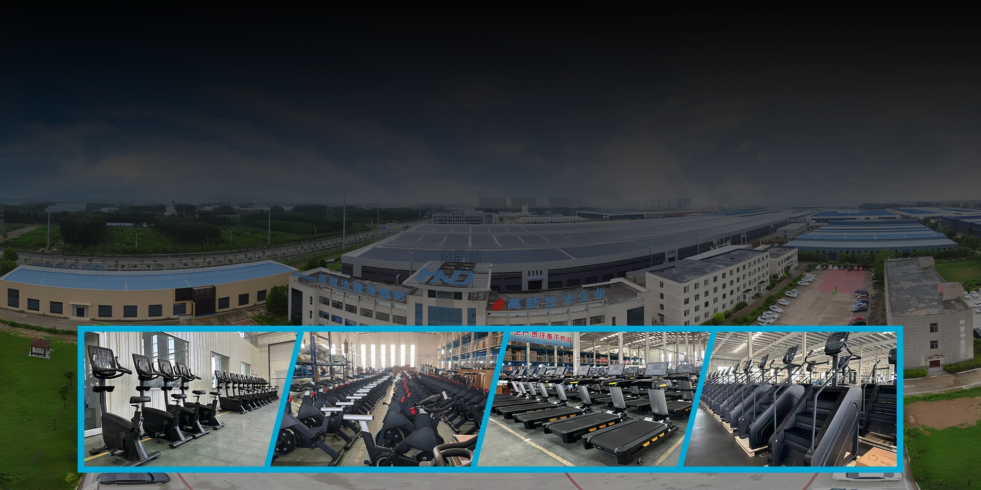 Global one-Stop Fitness Equipment supply for Gyms